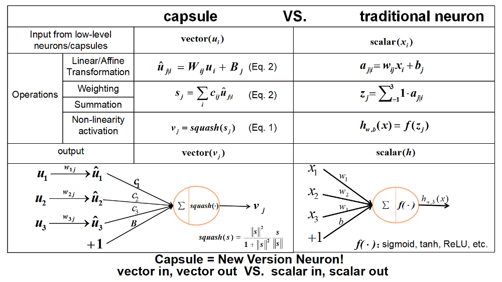 capsule